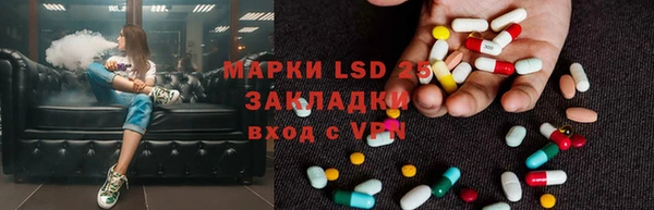 прущие грибы Алексин