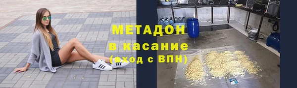 стаф Алзамай