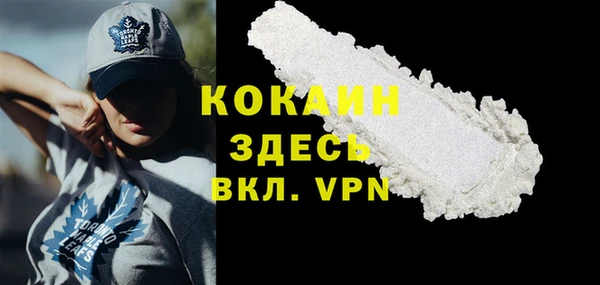 стаф Алзамай