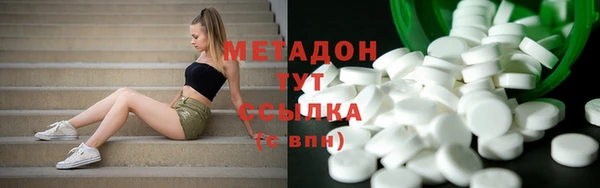 стаф Алзамай