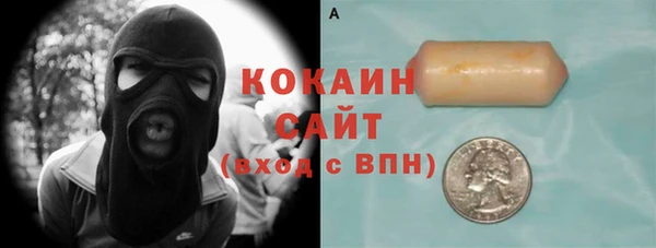 стаф Алзамай
