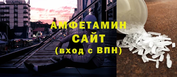 стаф Алзамай